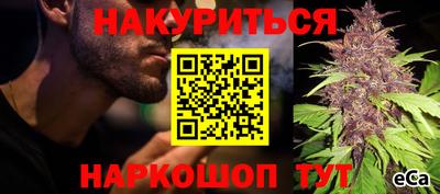 индика Нарткала