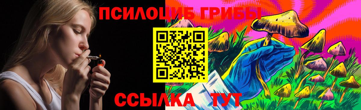 Псилоцибиновые грибы Cubensis  Вход с VPN  Сухой Лог 