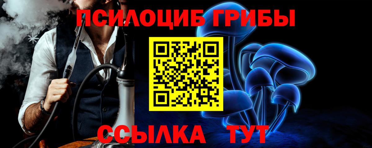 Псилоцибиновые грибы GOLDEN TEACHER Сухой Лог